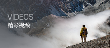 尊龙抖圈 - 为du而生