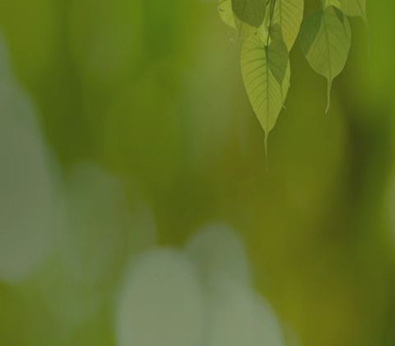 尊龙抖圈 - 为du而生